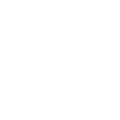 Moon Bird AI